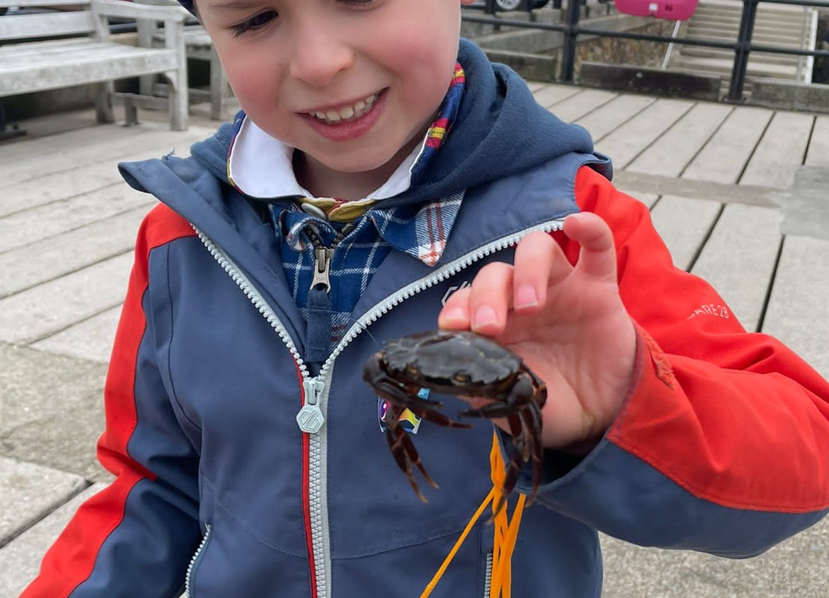 Cheap Things to do in Ilfracombe This Summer Visit Ilfracombe