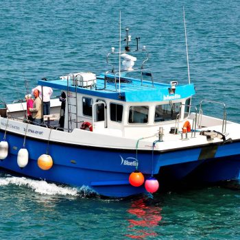 Bluefin Charters on Visit Ilfracombe