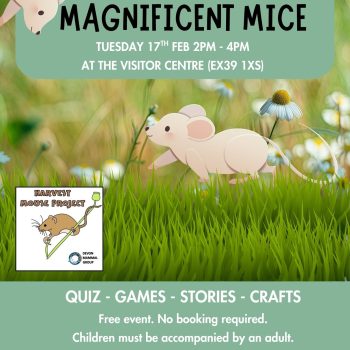 628464419_1352142213606293_1764593007320848503_n