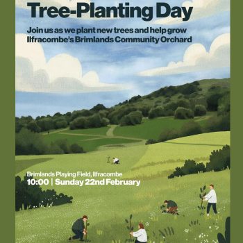 Brimlands Tree Planting Day