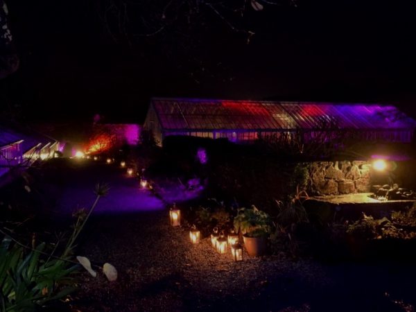 CG WhatsApp-Image-2024-01-24-at-11.24.26