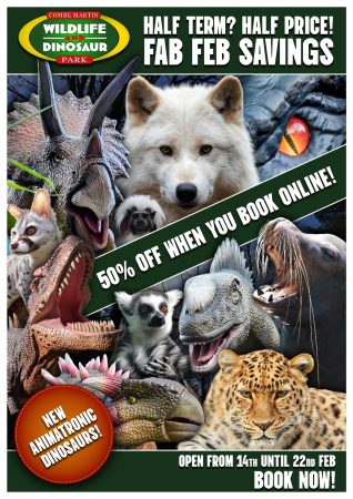 CM 622983277_1213308270935132_4755667661420351783_n