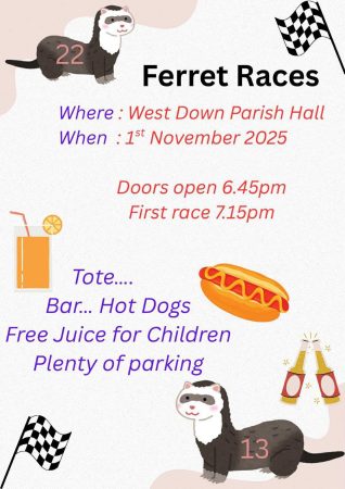 Ferret 549639819_10162736918134564_5205921249207092509_n