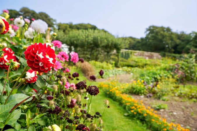 Garden Celebration