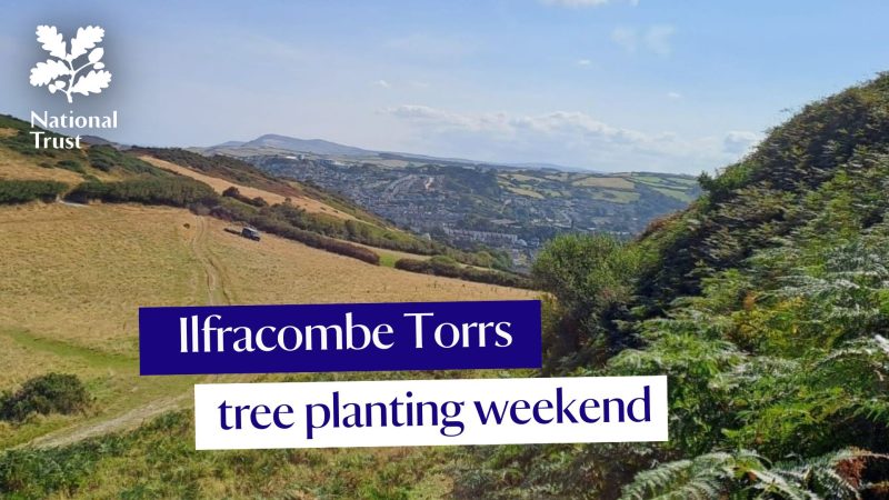 Illfracombe tours (2)