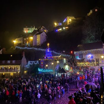 Please-use-this-for-Christmas-Lights