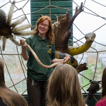 Exmoor Zoo on Visit Ilfracombe