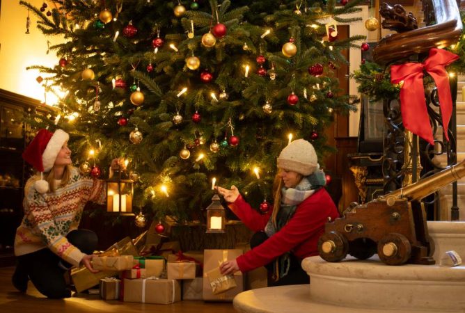 Visit devon Christmas