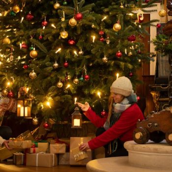 Visit devon Christmas