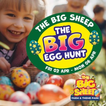 big-egg-hunt-fun-480x480