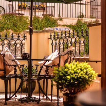 Terrace Tapas & Wine Bar