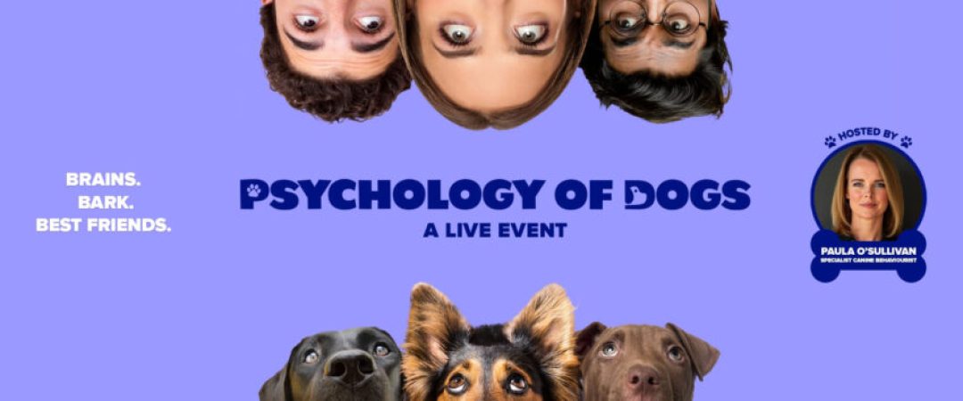 psychology-of-dogs-850×354 psychology-of-dogs-850x354
