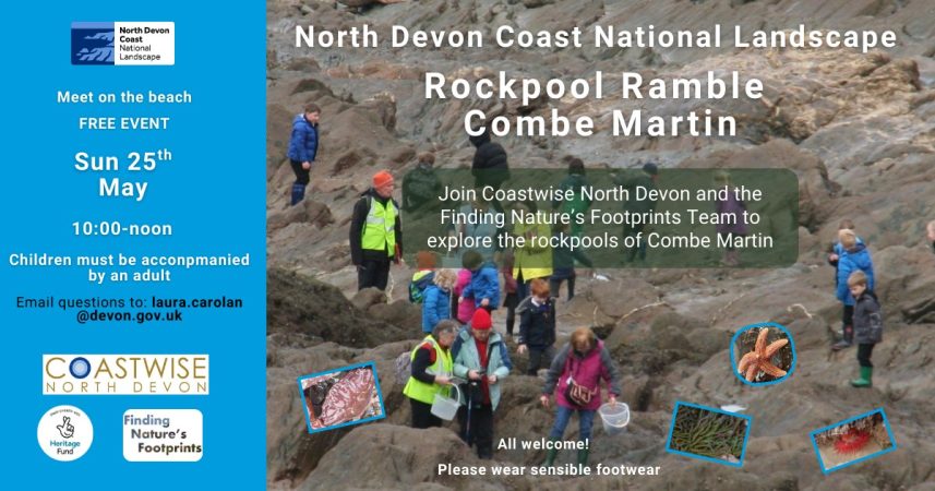 rockpool ramble
