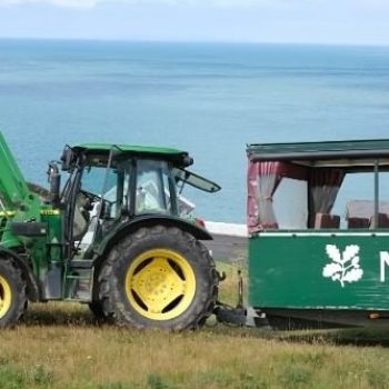 tractor-safari-small-1